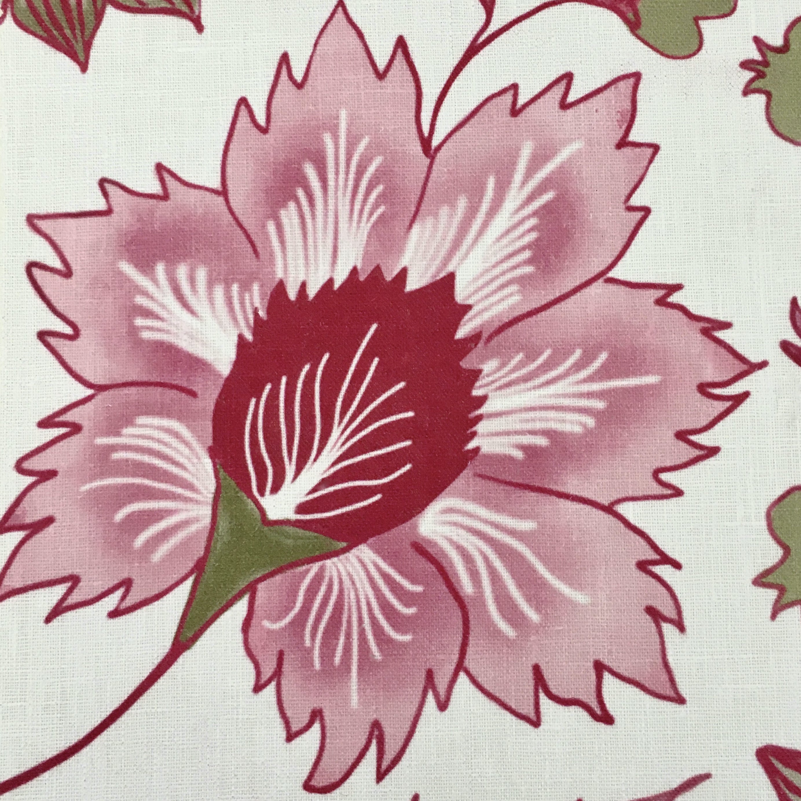 Floral Scroll