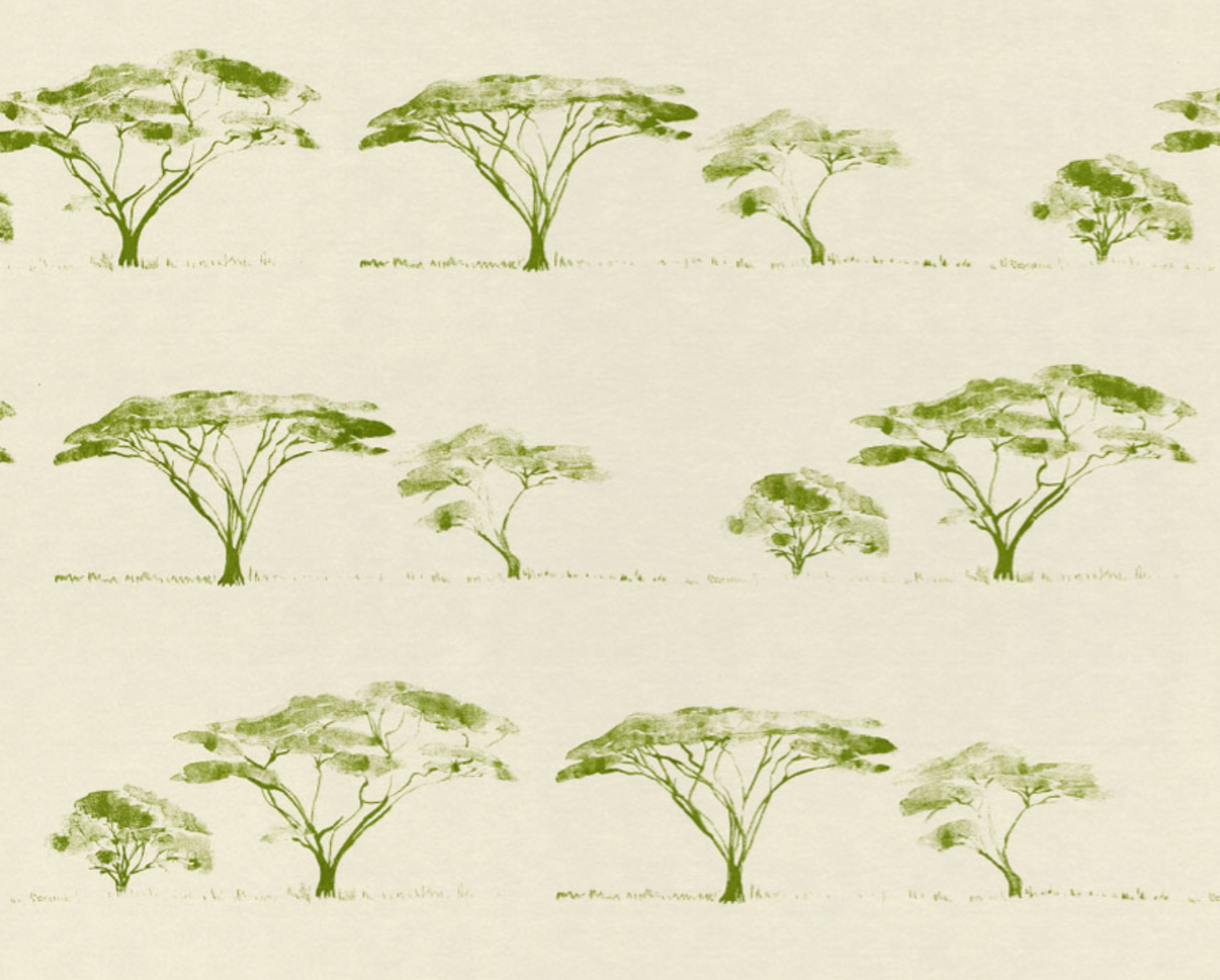 Botswana Trees Wallpaper